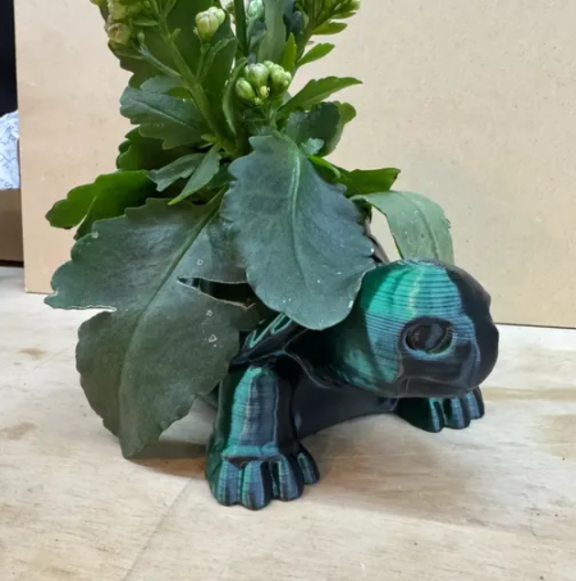 Support Plante Tortue